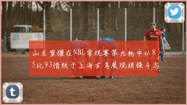 山东蜜獾在NBL常规赛第九轮中以85比93惜败于上海玄鸟展现顽强斗志